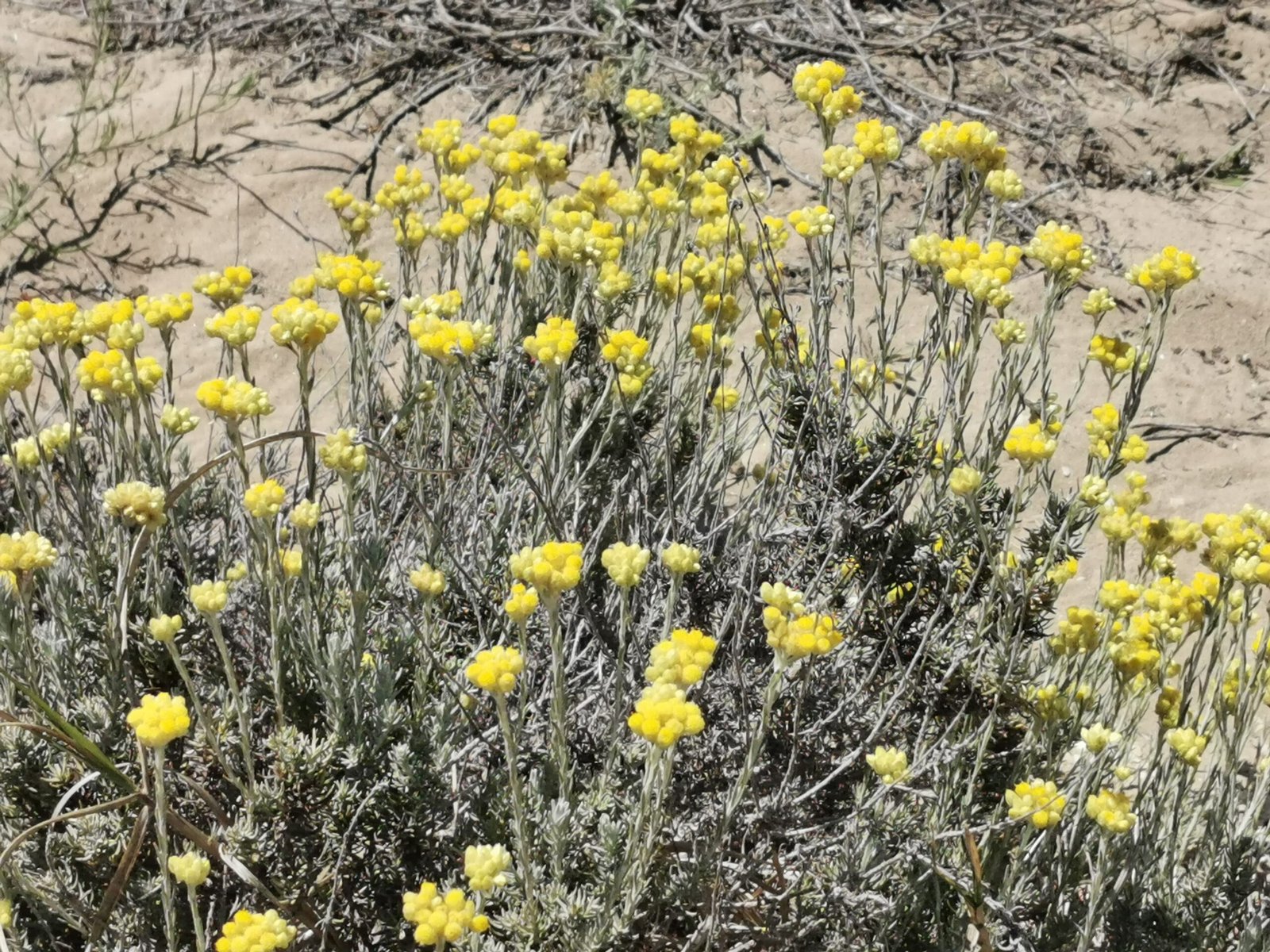 You are currently viewing Hello world!