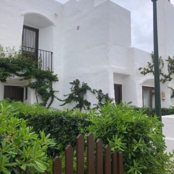 Mejora tu vida con consejos y aplicaciones prácticas de feng shui